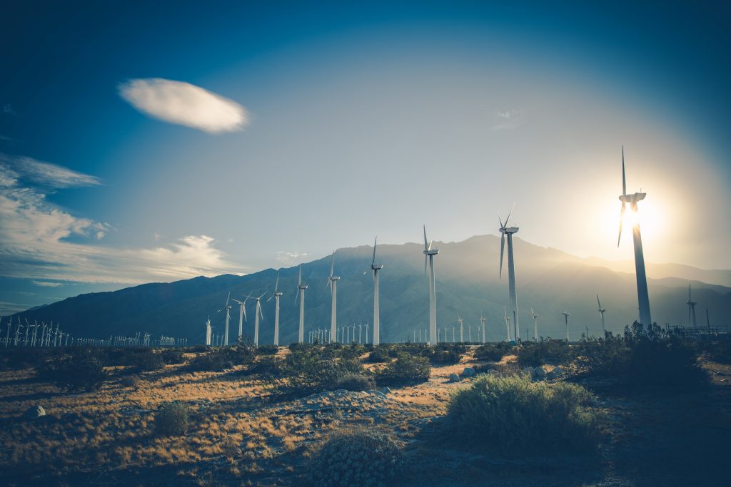 Renewable Energy